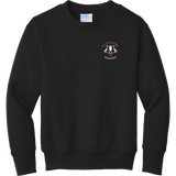 Scary Badgers Youth Core Fleece Crewneck Sweatshirt